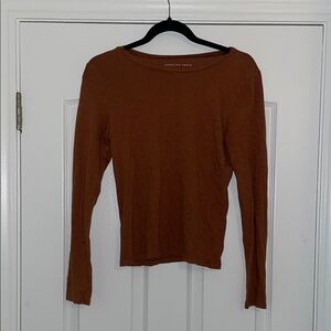 American Eagle Outfitters Brown Fitted Long Sleeve Top